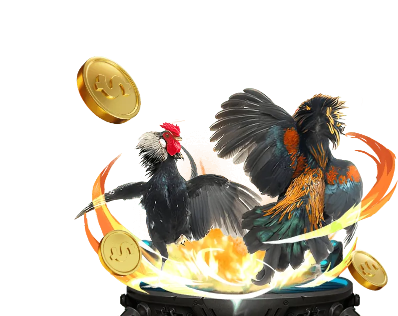 Hướng dẫn chơi game bắn cá cho người mới tại nohu77 code